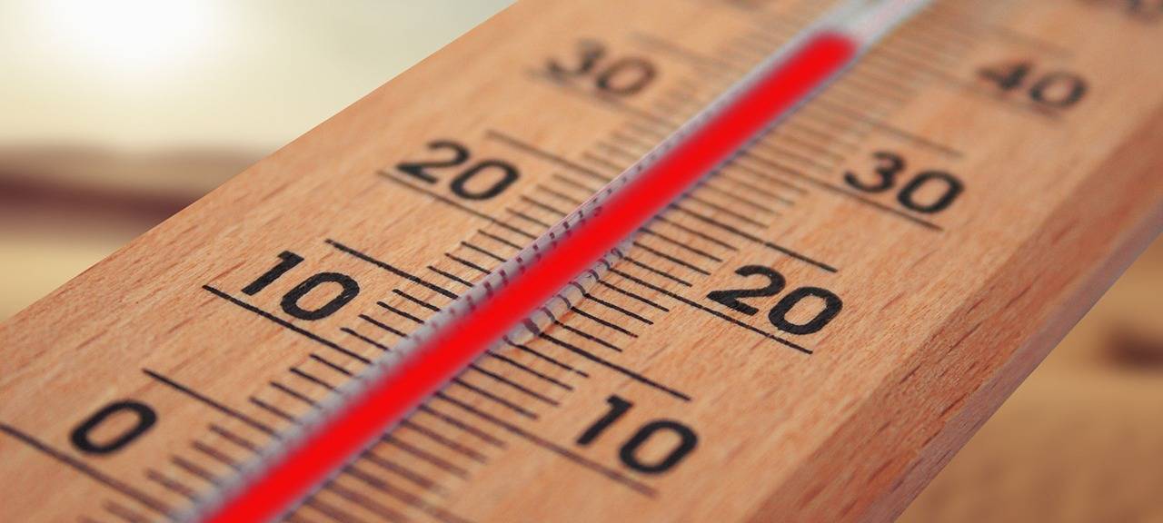 Warnung: Kinder und Tiere bei Hitze nicht im Auto lassen