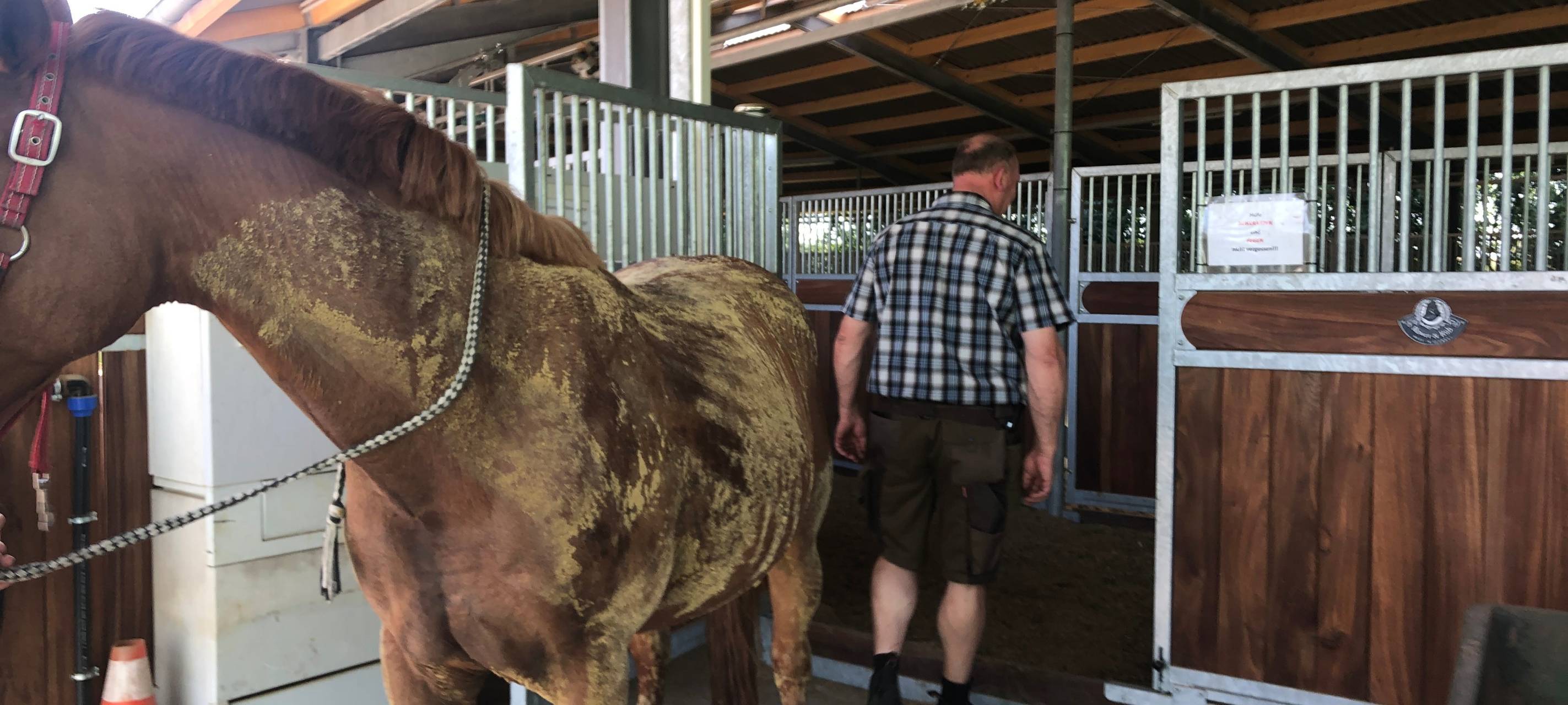 Nach Feldbrand: Zu Besuch bei Landwirt Kuckelke