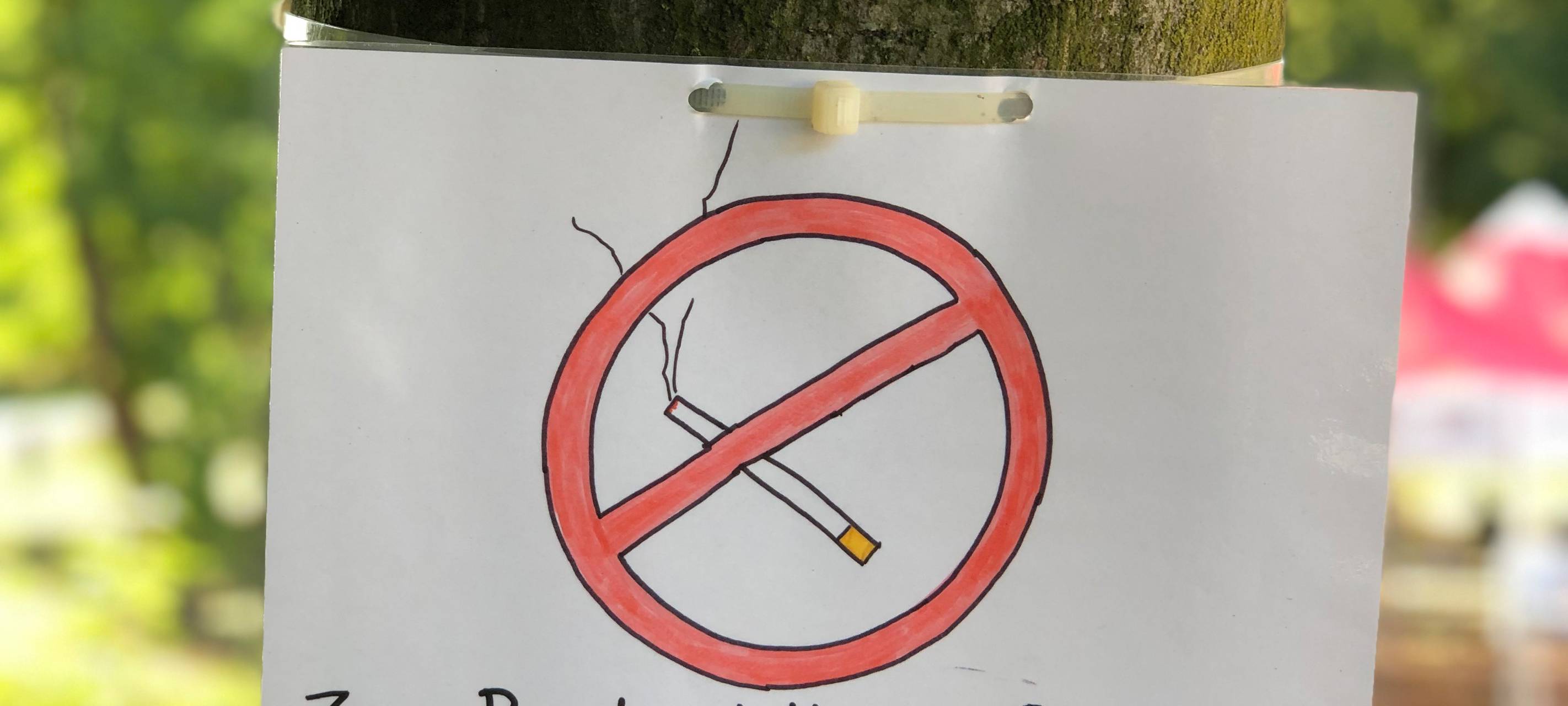 Fridays for Future-Sommerkongress