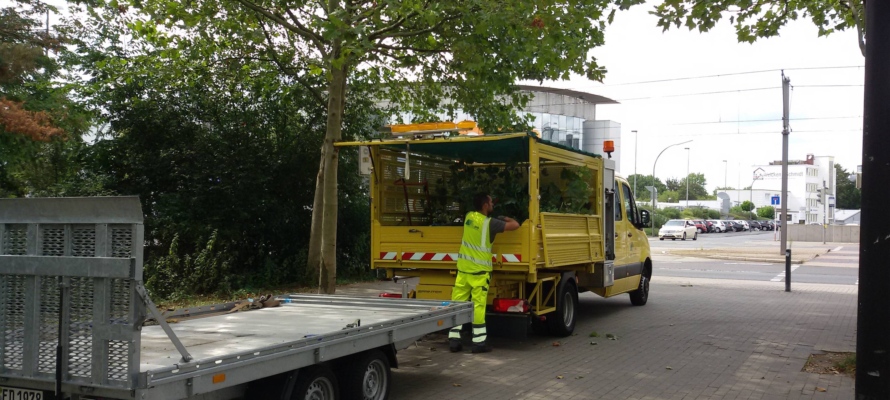 Grünpflege in Dortmund