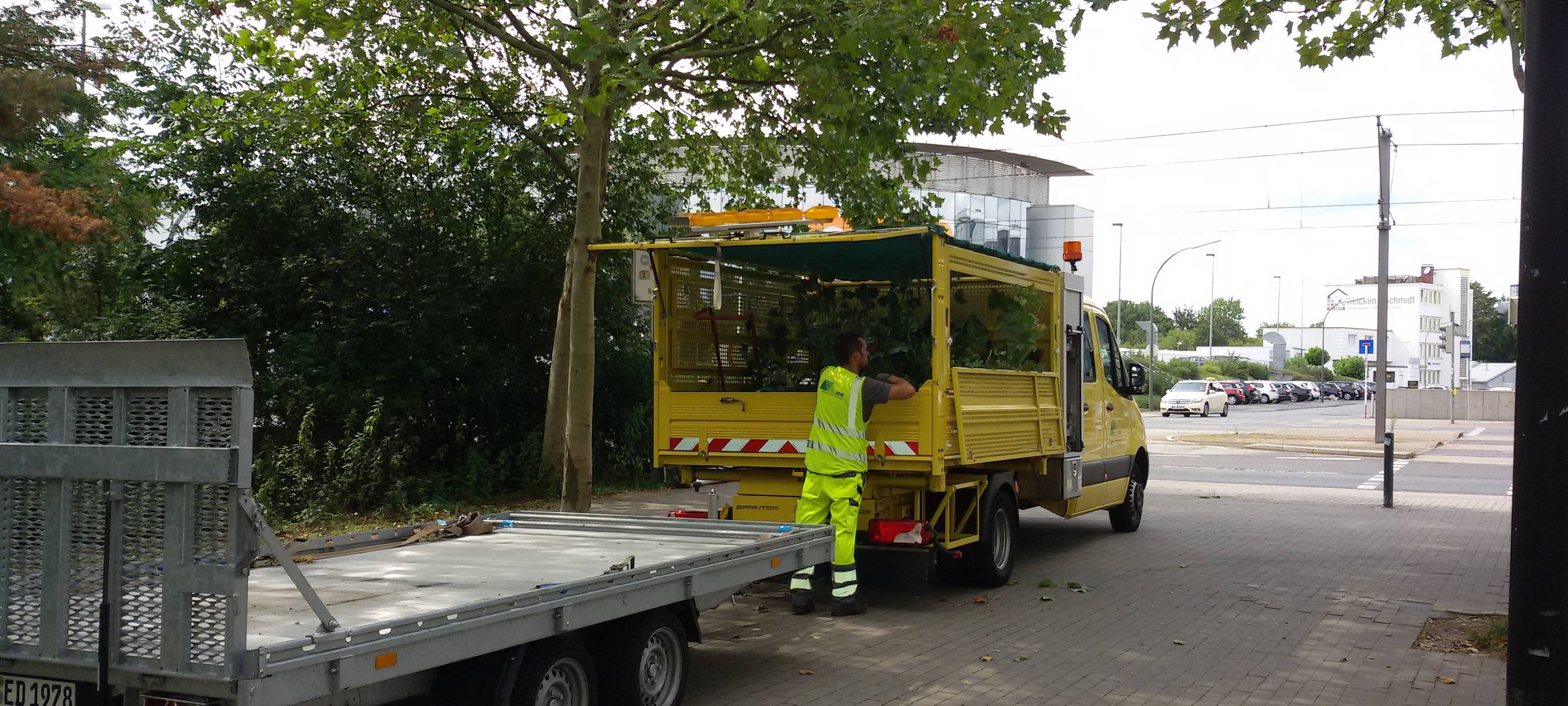 EDG kümmert sich um das Unkraut am Straßenrand.