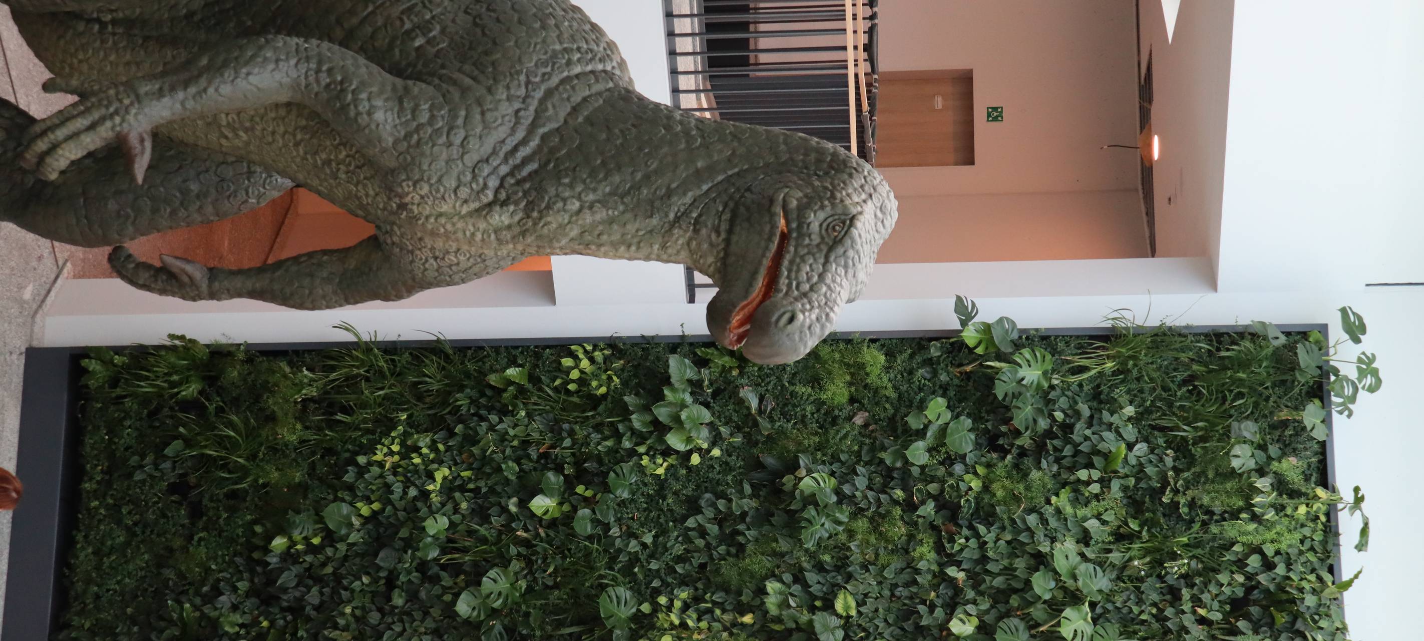 Neuer Star im Museum für Naturkunde Dortmund