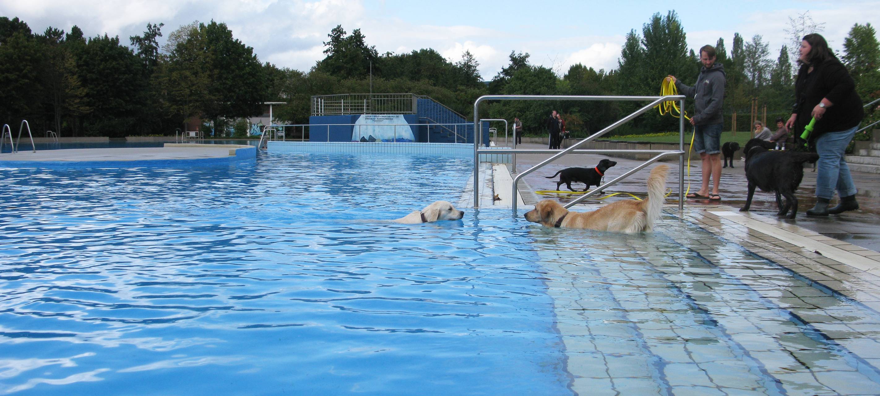 Badespaß für Hunde im Freibad Hardenberg