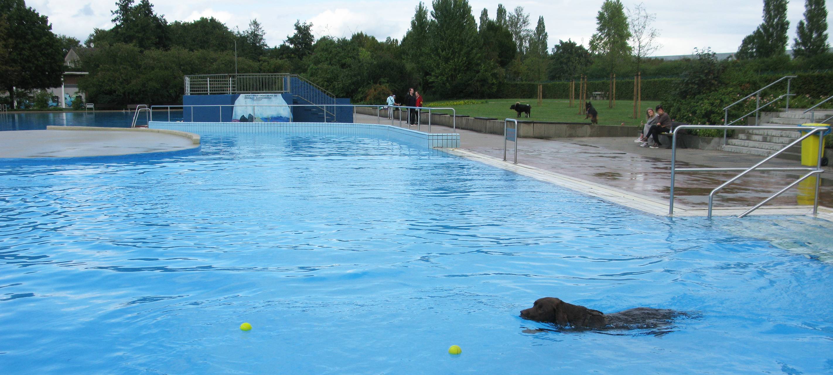 Badespaß für Hunde im Freibad Hardenberg