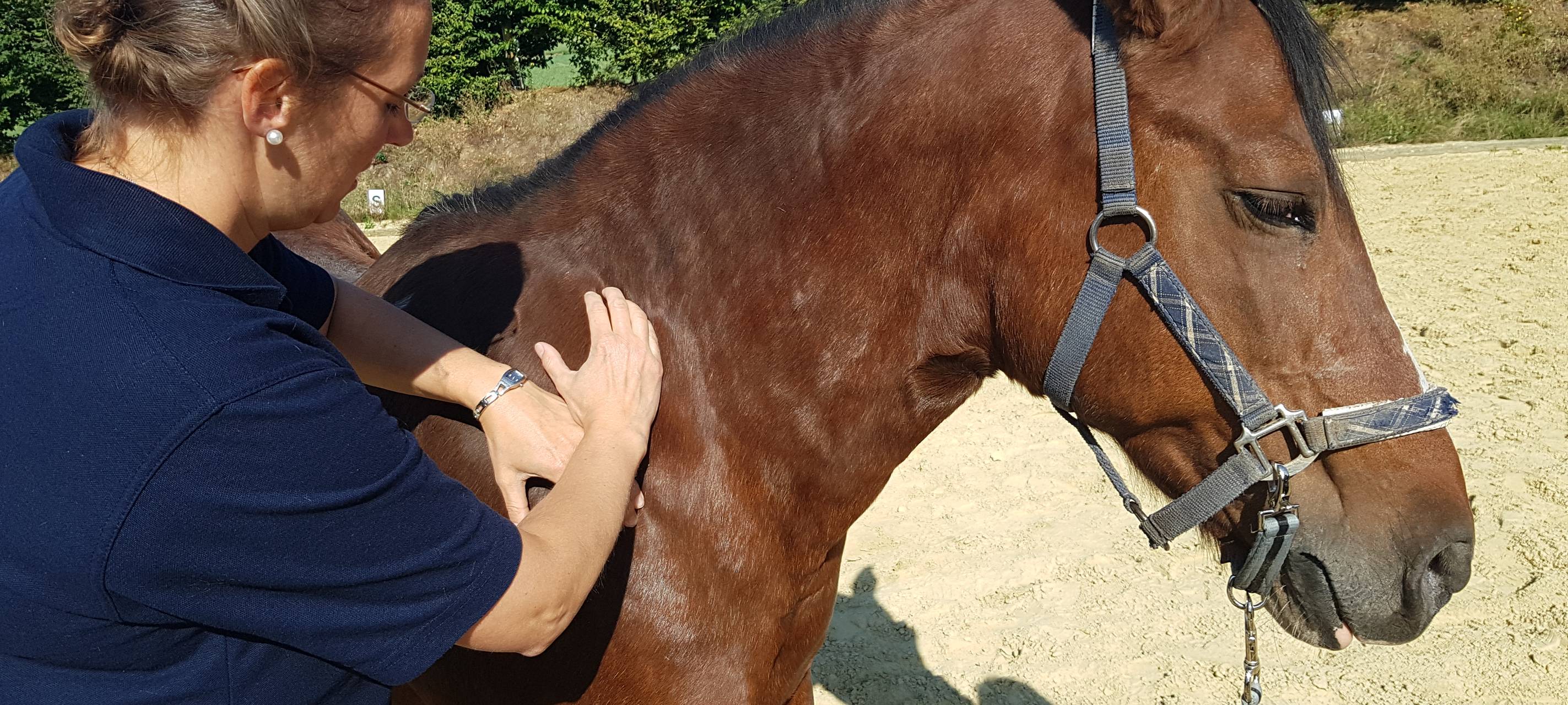 Tierphysiotherapeutin Iris Braun therapiert ein Pferd