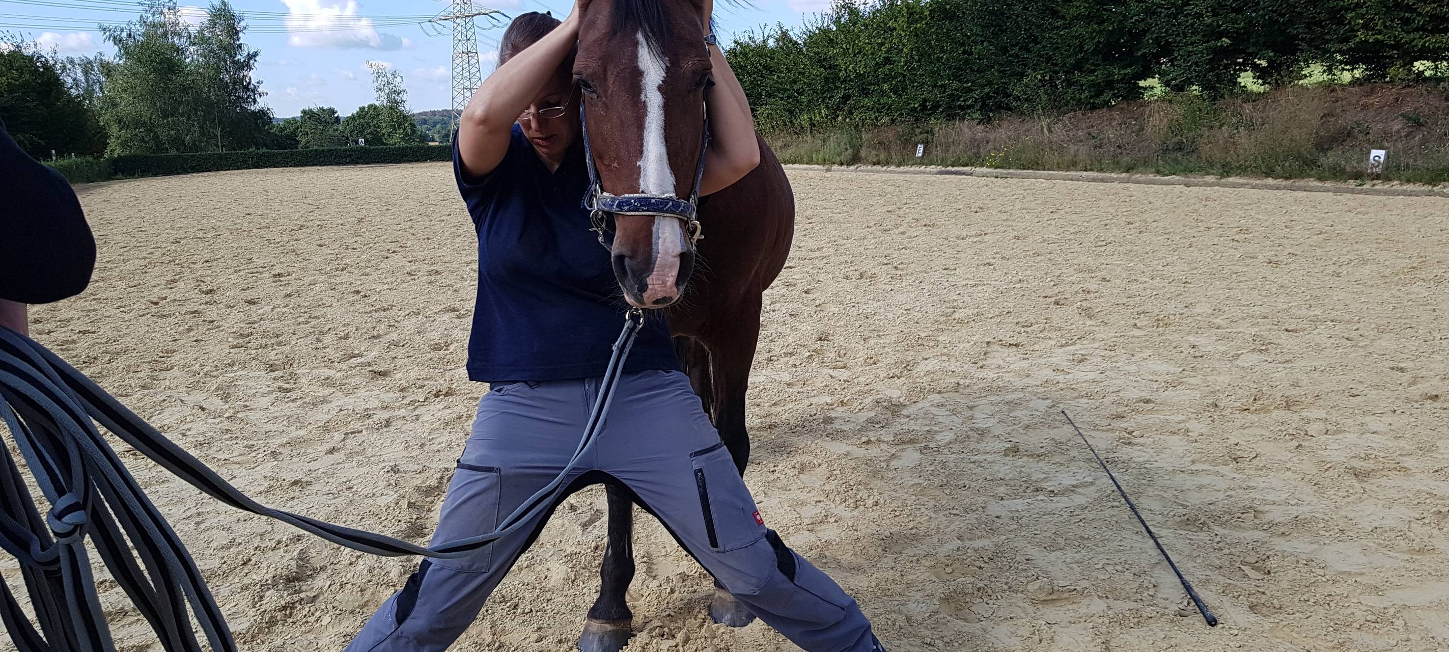 Tierphysiotherapeutin Iris Braun therapiert ein Pferd