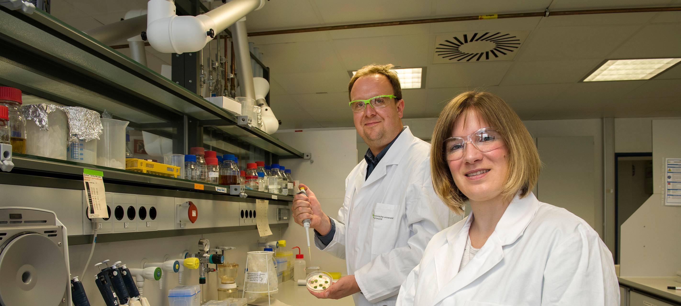 TU Dortmund produziert nikotinfreien Tabak