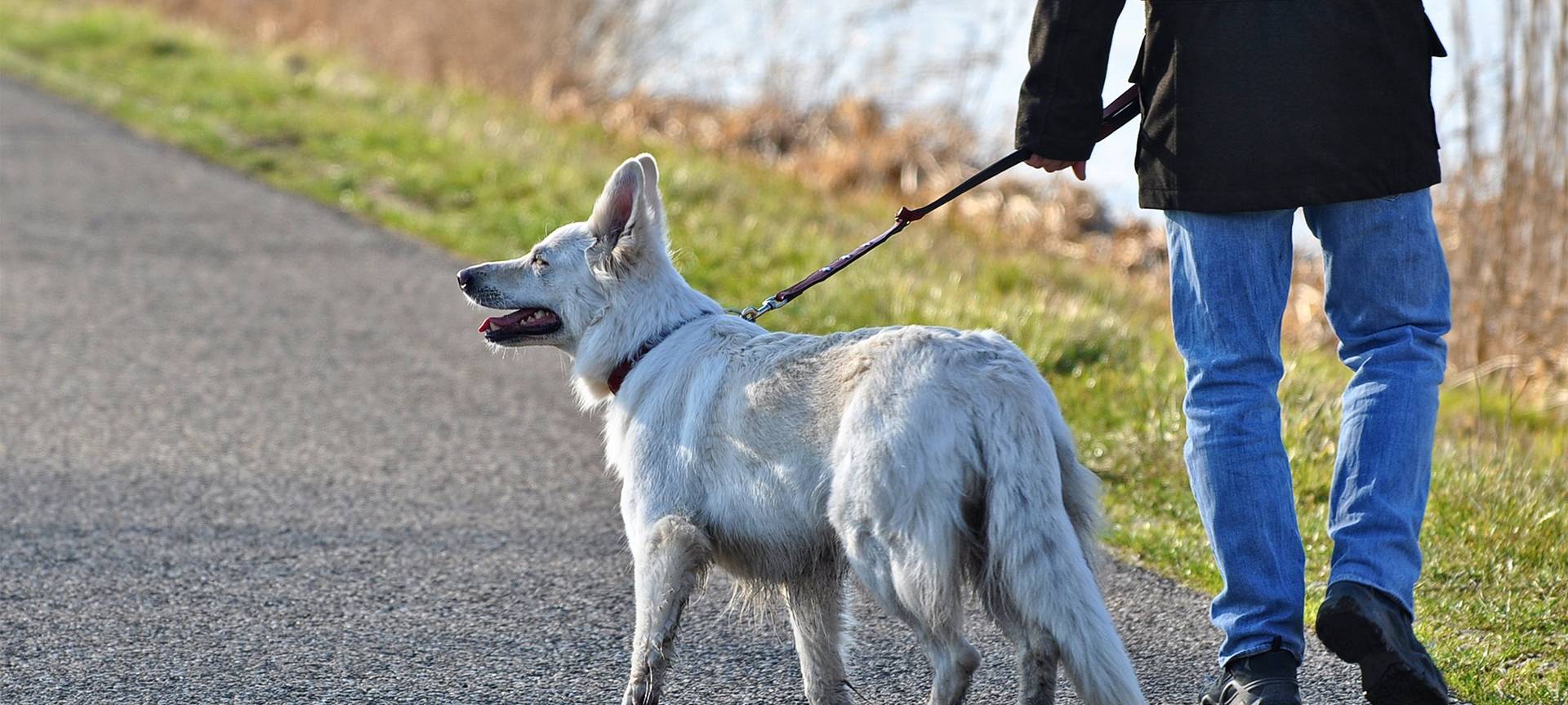 Zu viele Menschen am Lanstroper See