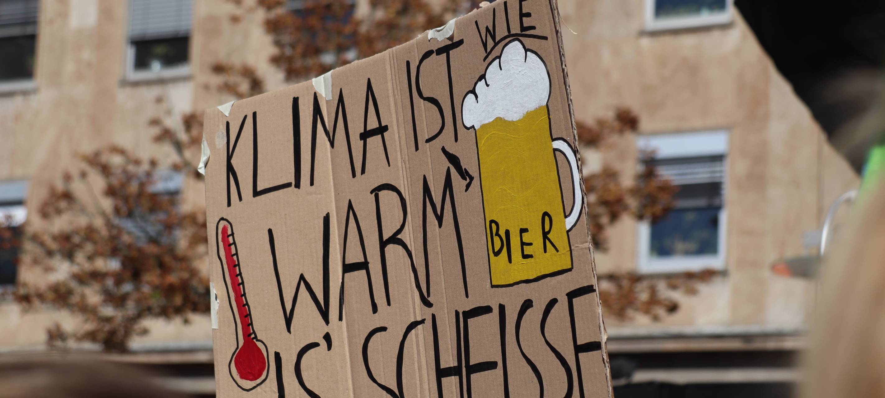 Klimademo in der City