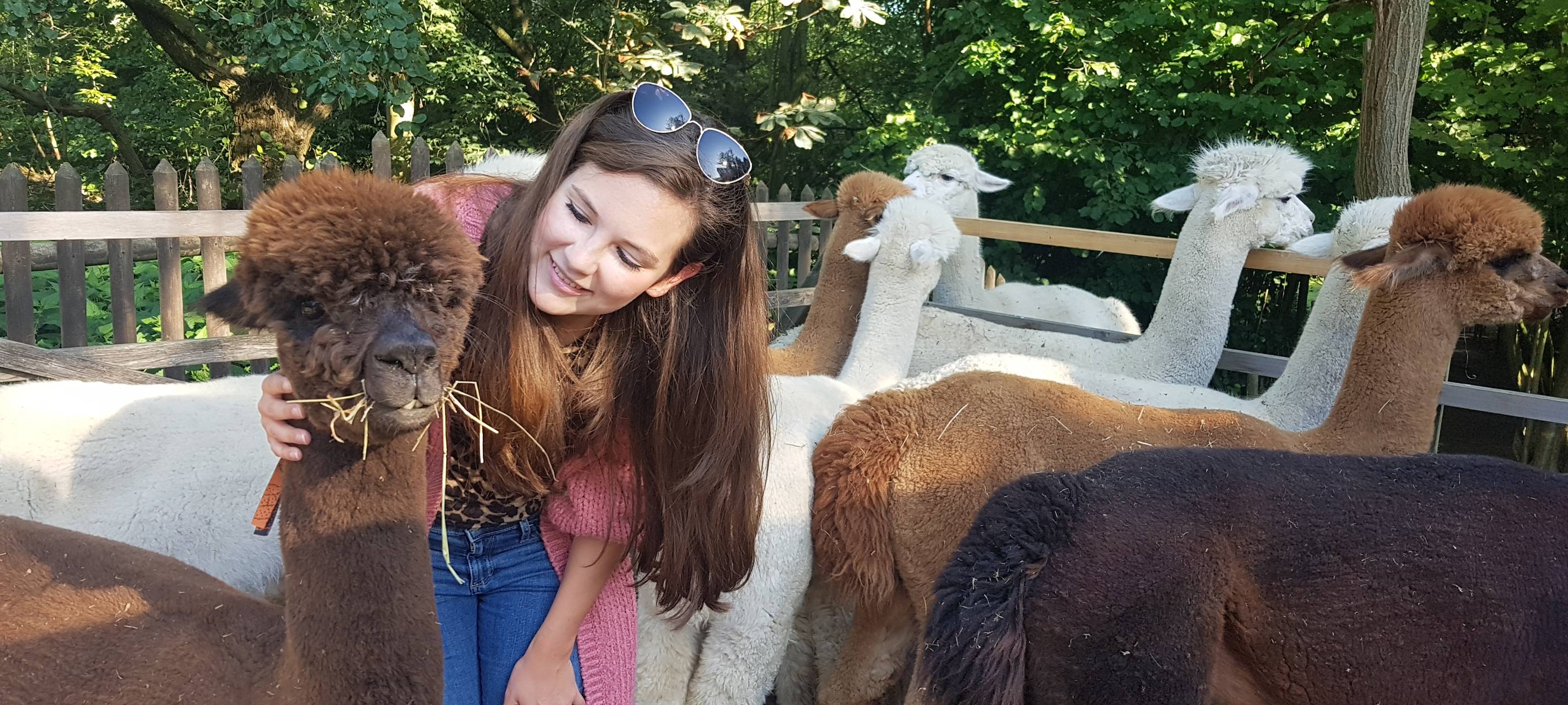 Simone Danisch mit einem Alpaka