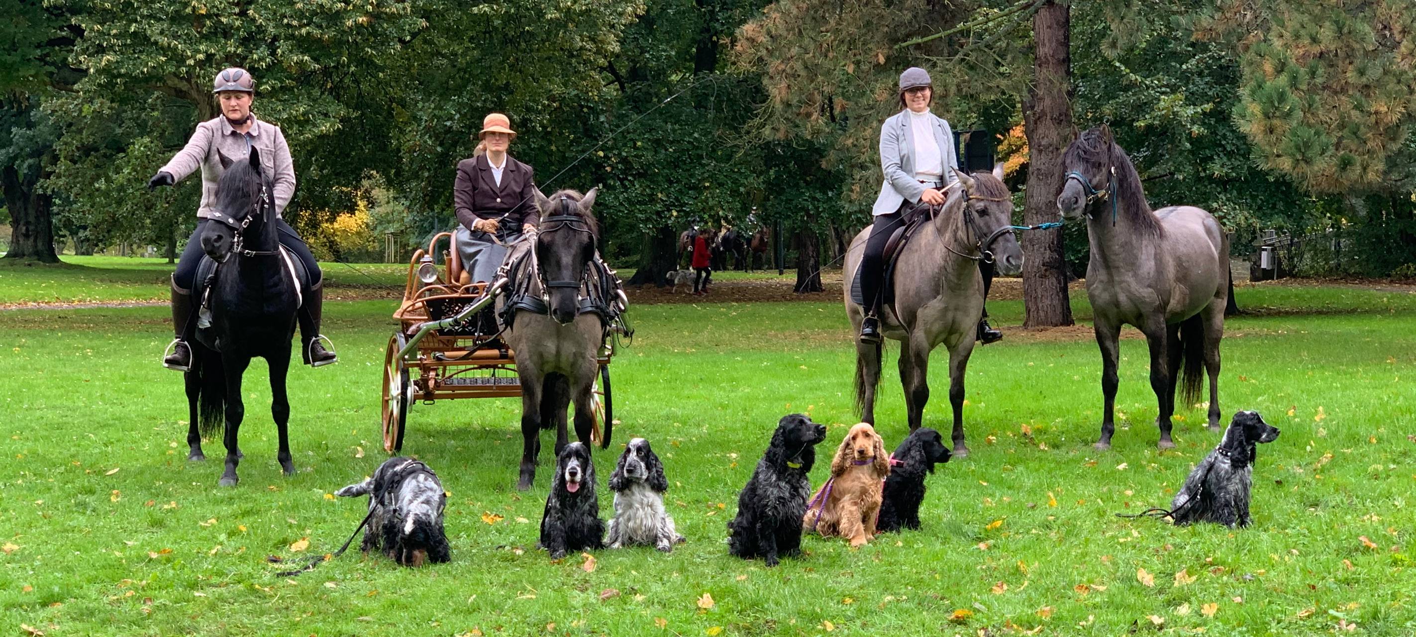 "Hund und Pferd"- Messe 2019