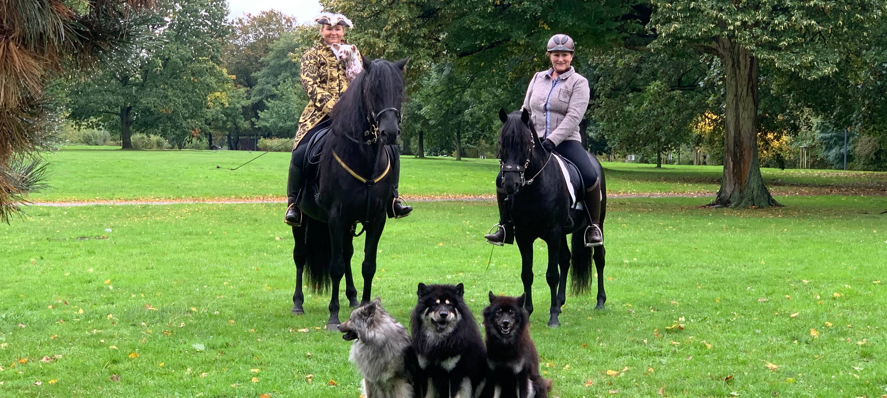 "Hund und Pferd"- Messe 2019