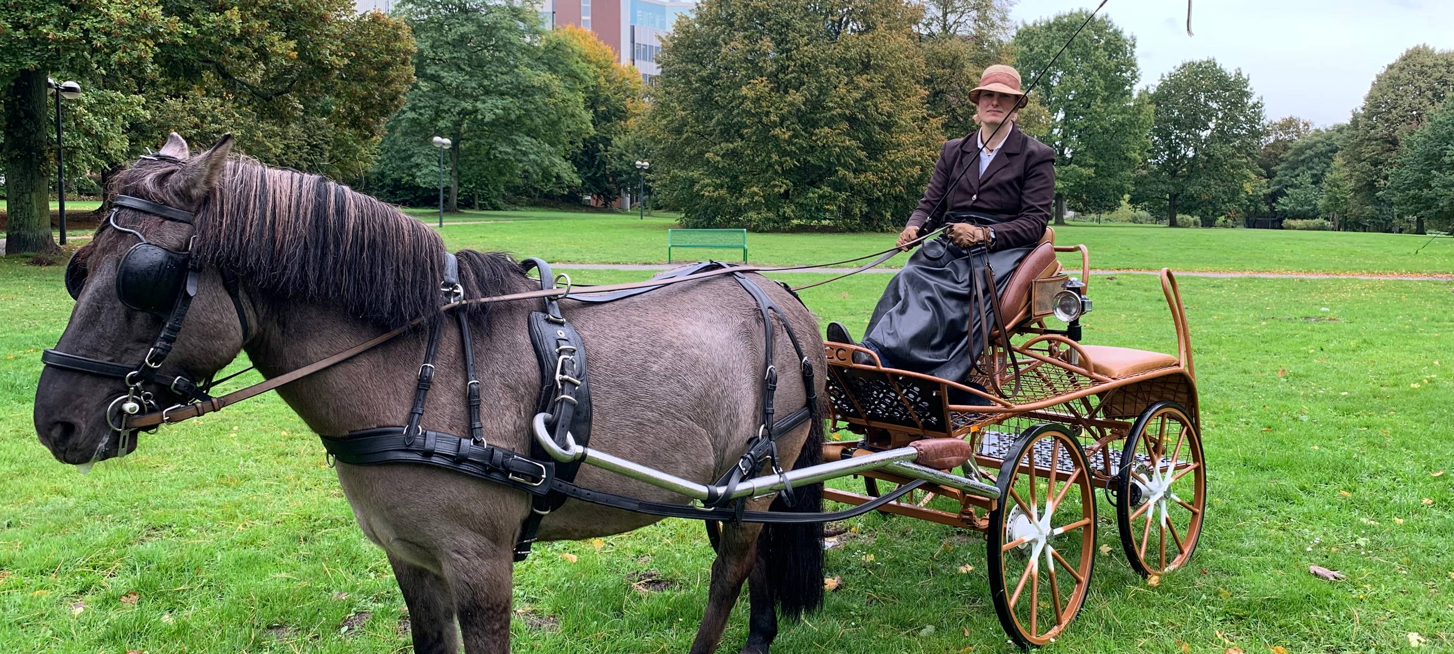 "Hund und Pferd"- Messe 2019