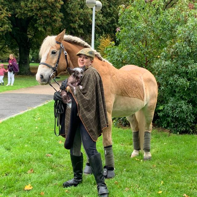 Hund und Pferd Messe in Dortmund Radio 91.2