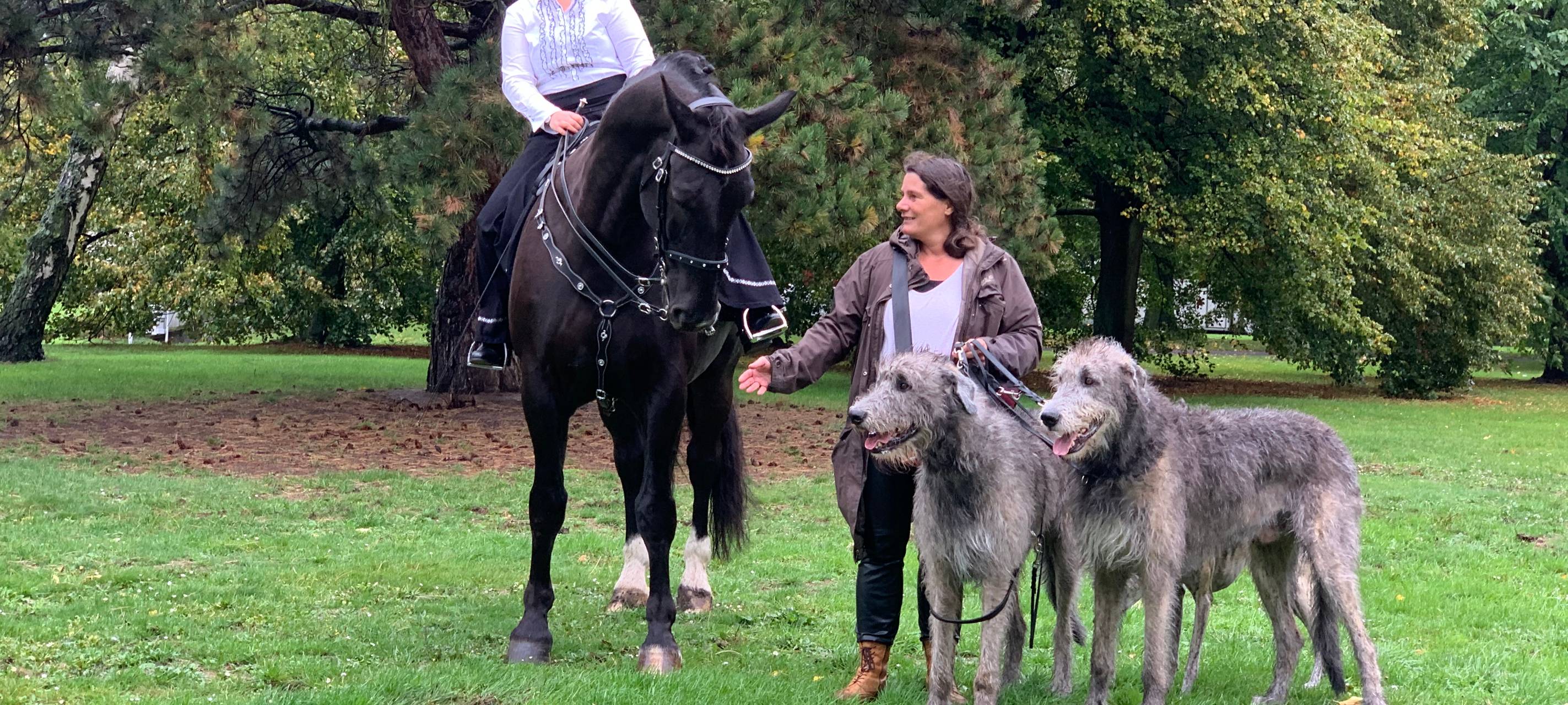 "Hund und Pferd"- Messe 2019