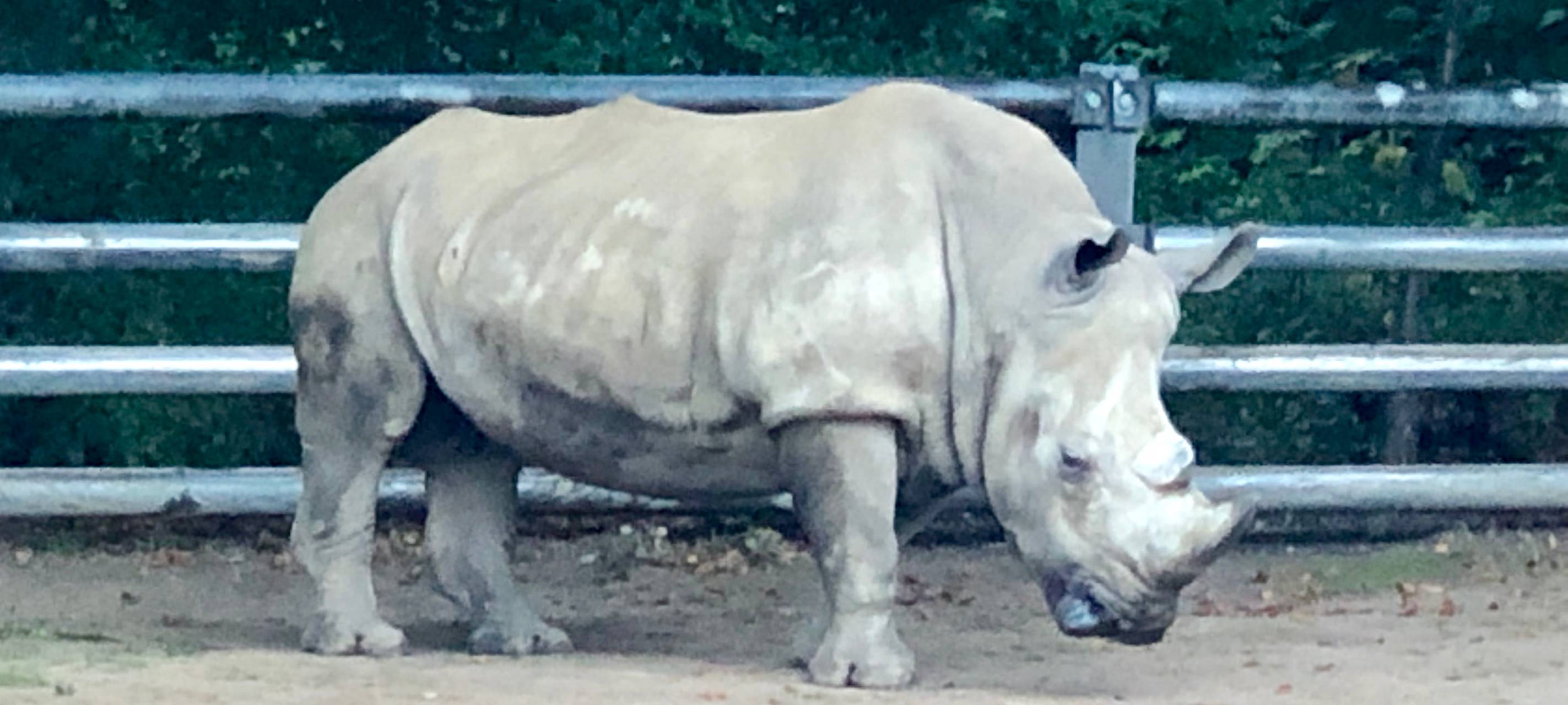 Happy Birthday, Natala