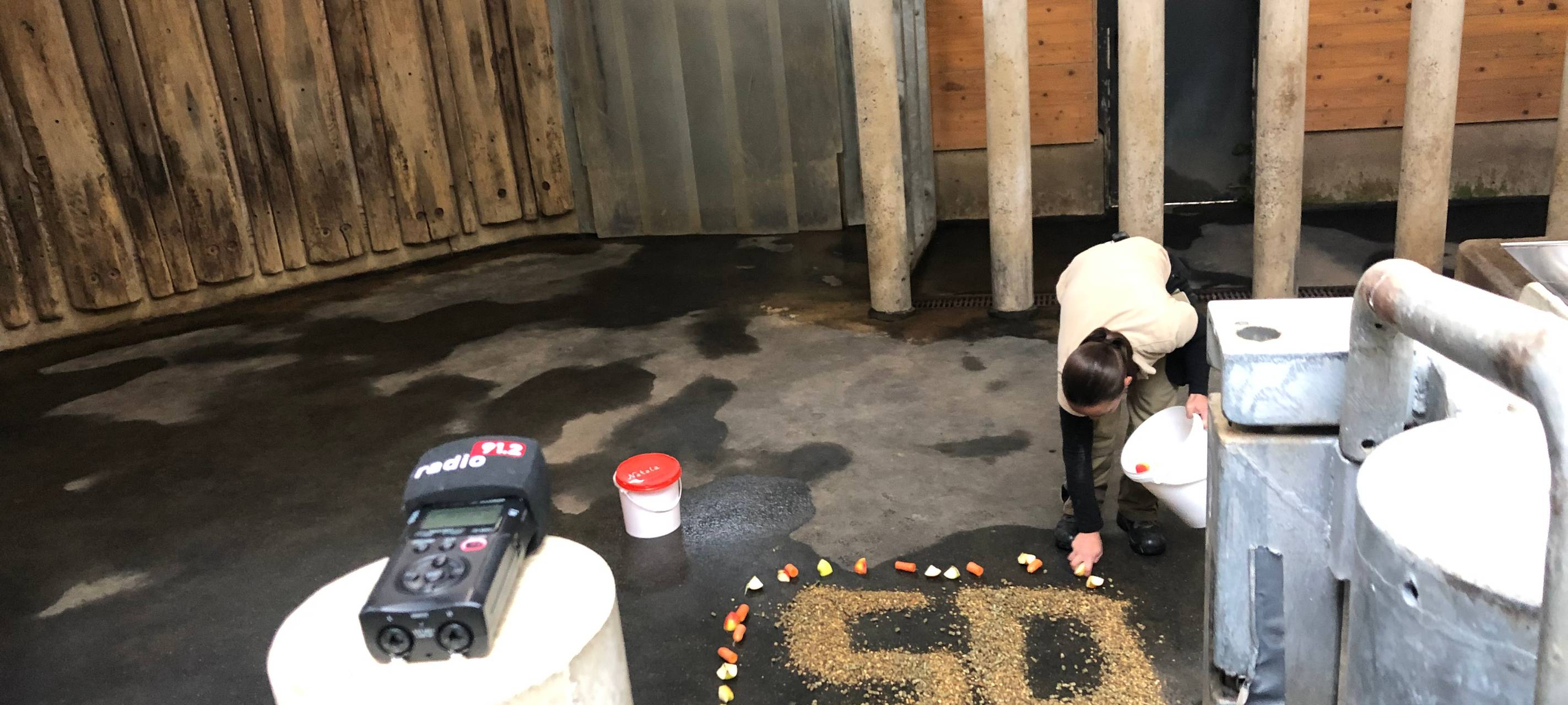 Happy Birthday, Natala