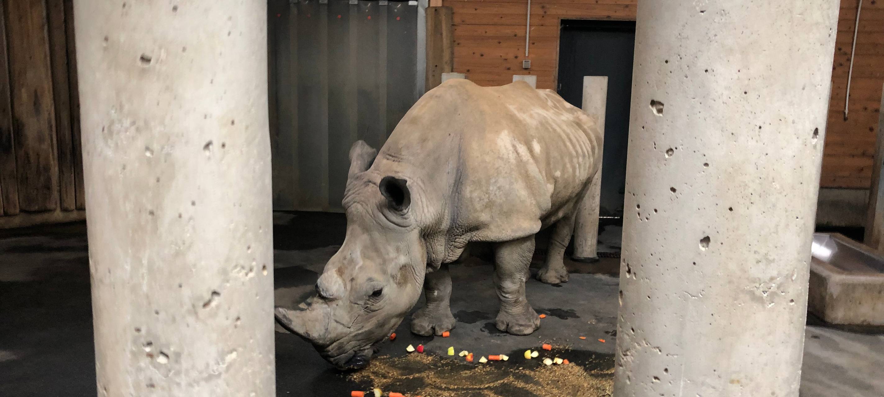 Happy Birthday, Natala