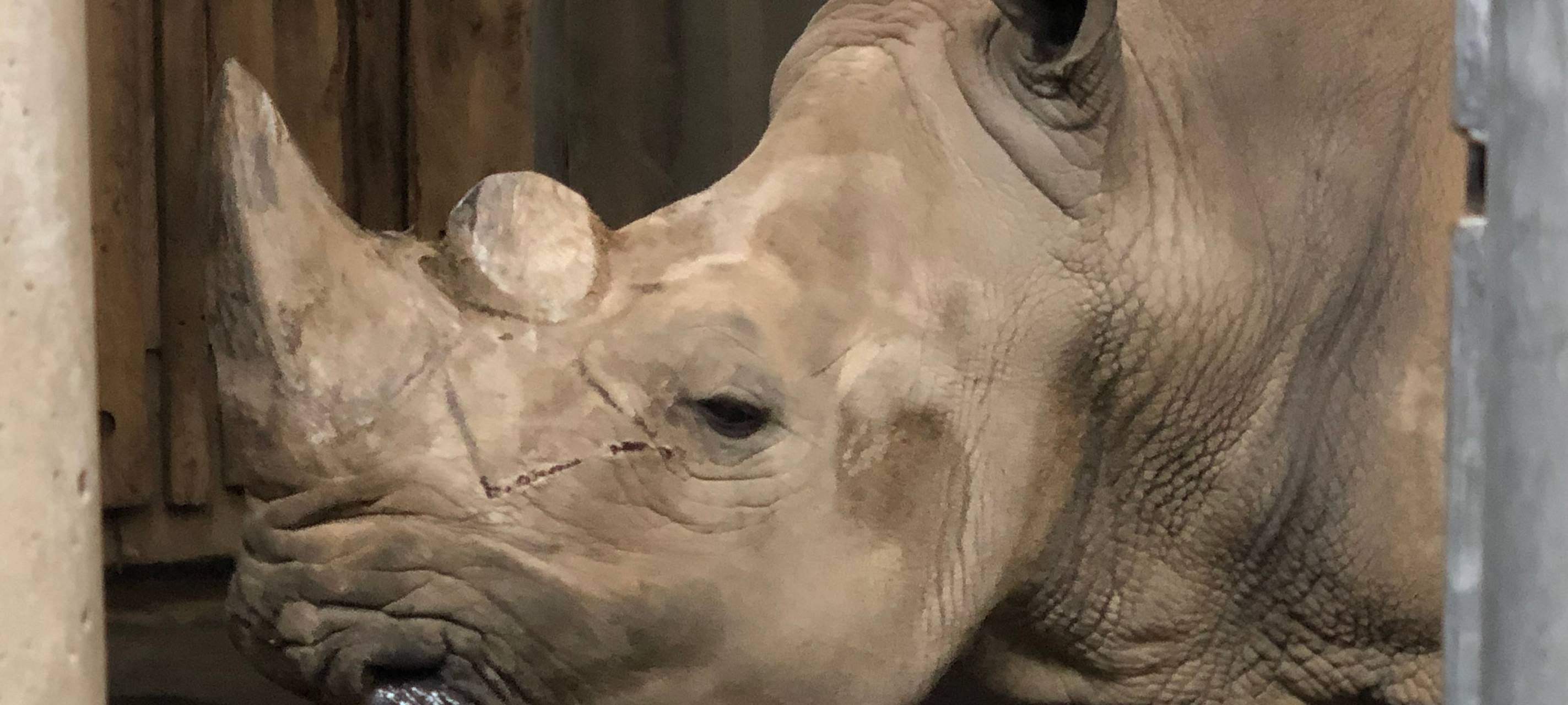 Happy Birthday, Natala