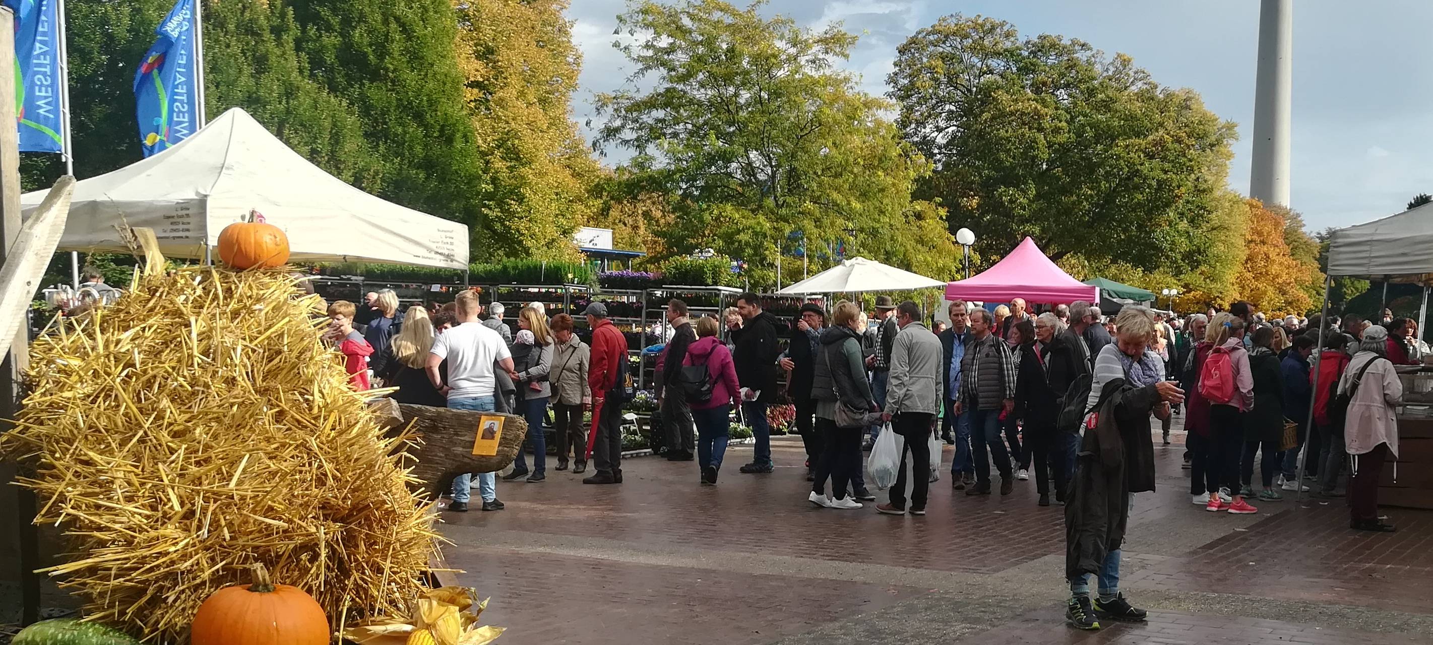 Herbstmarkt "Gartenlust" im Westfalenpark.