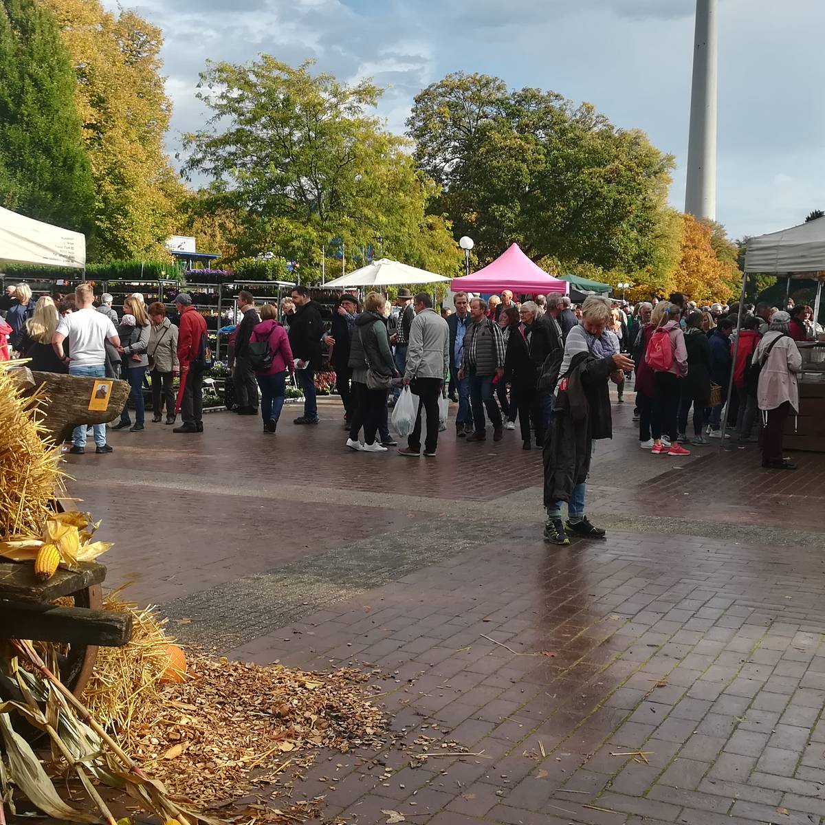 Herbstmarkt \