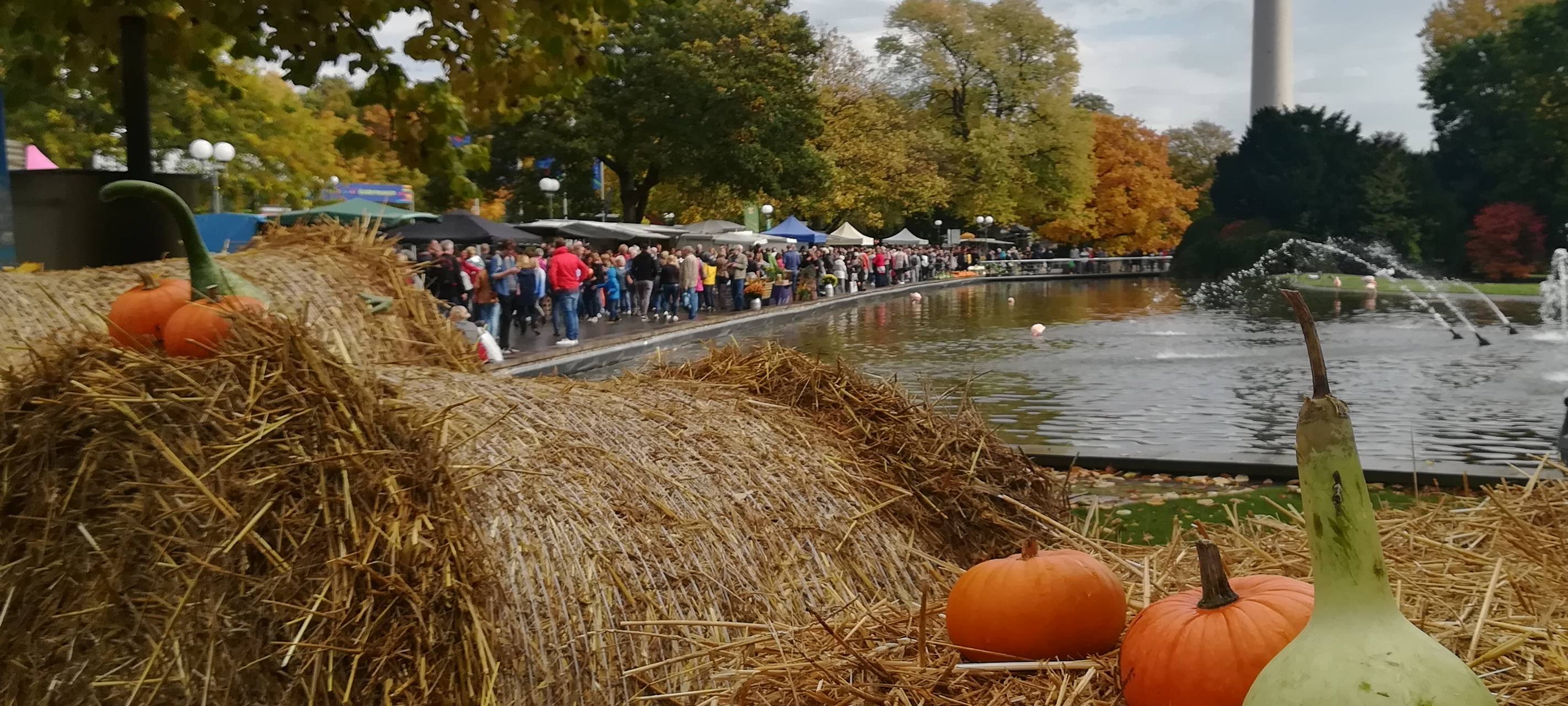 Herbstmarkt 2019 im Dortmunder Westfalenpark.