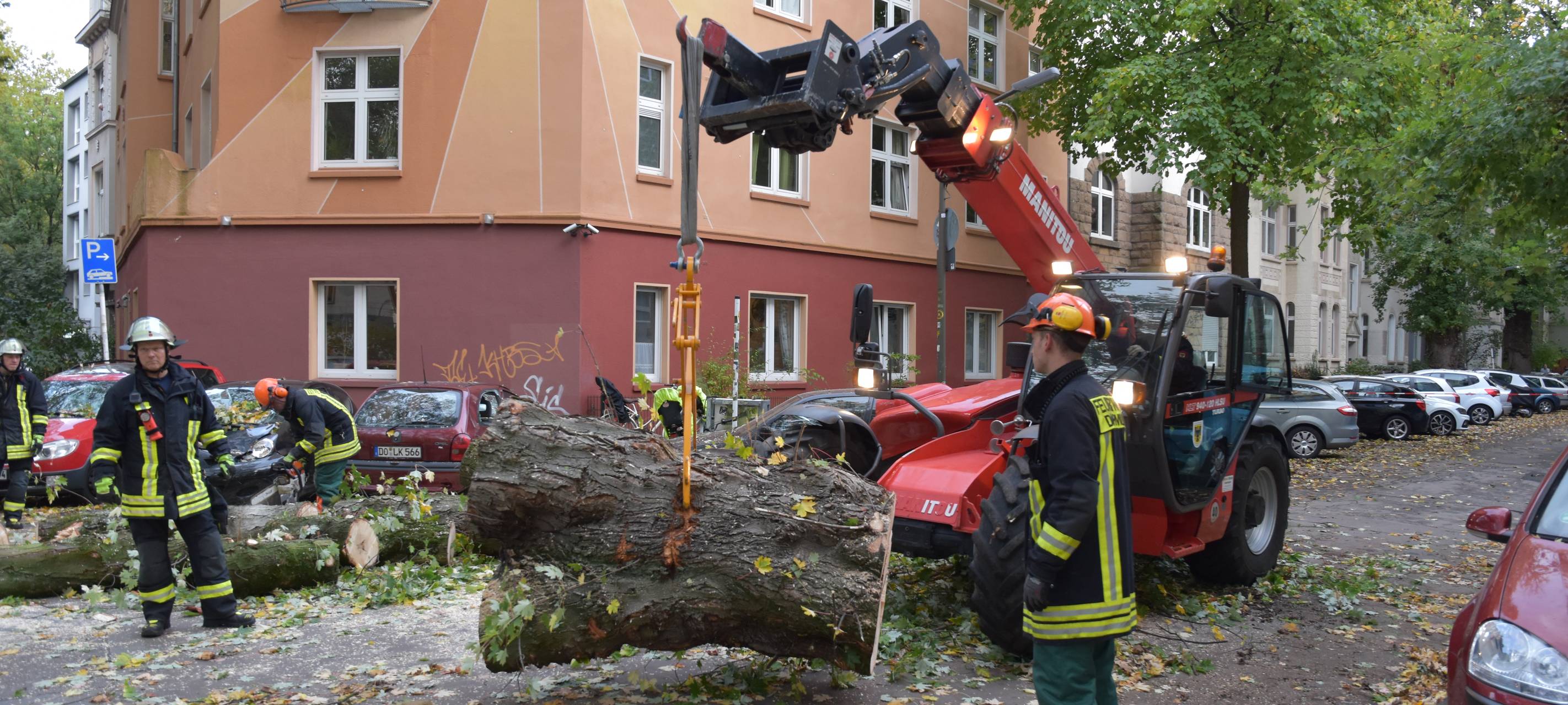 Umgestürzter Baum an der Liebigstraße.