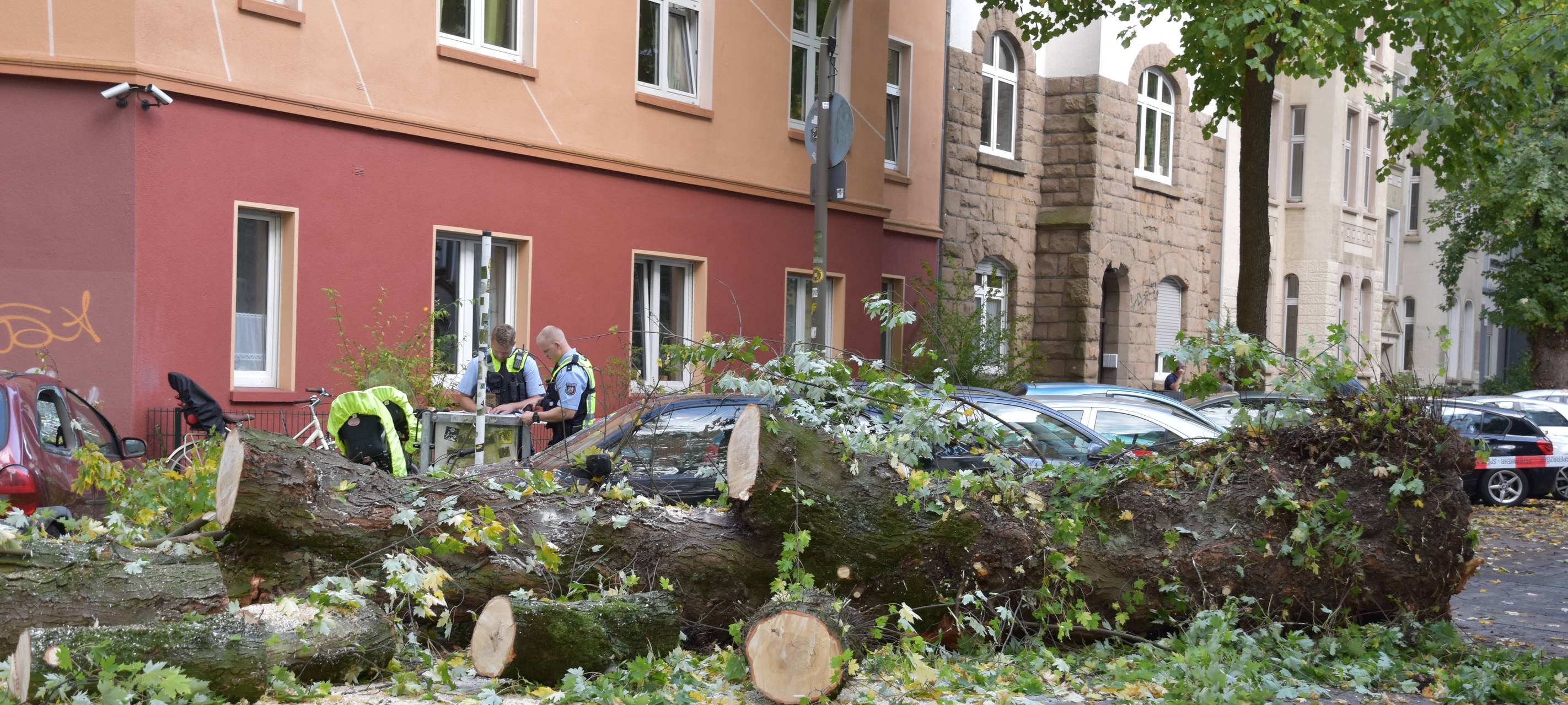 Der Baum blockert die gesamte Fahrbahn an der Liebigstraße