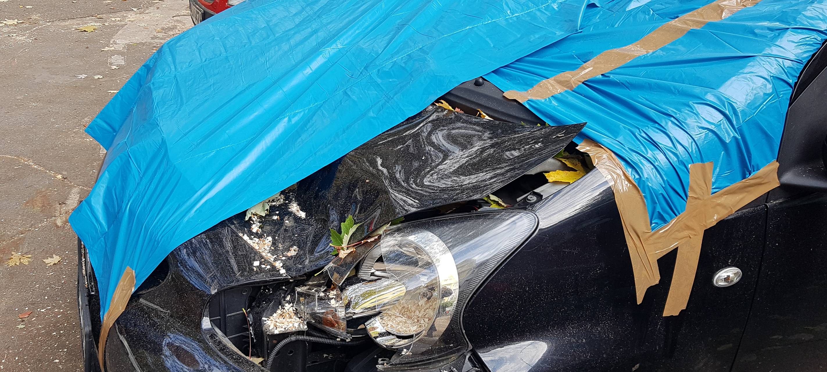 Auto an der Liebigstraße: Baumkrone ist auf das Auto gekracht.