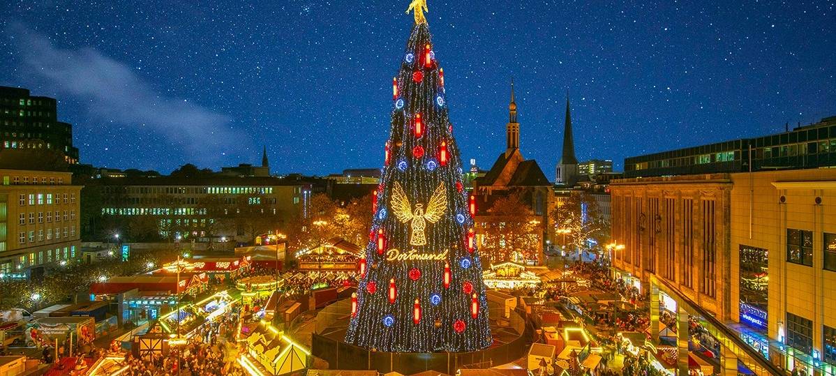 Riesentanne auf dem Hansaplatz