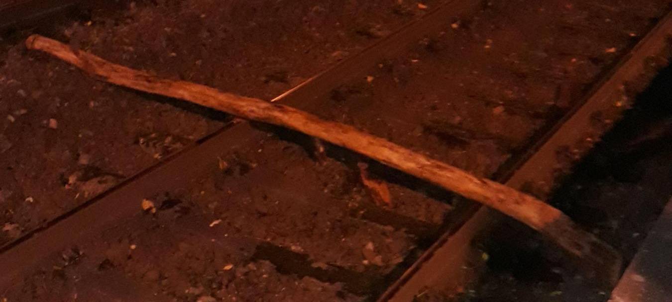 Baumstamm auf den Gleisen in Dortmund Kruckel