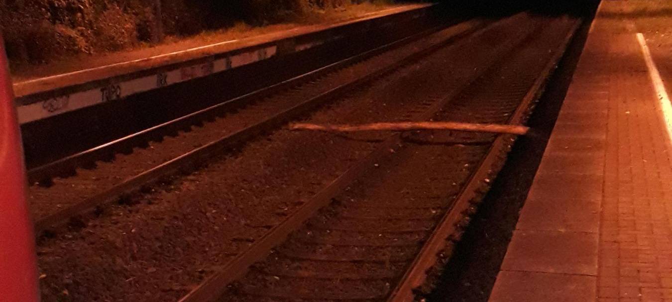 Baumstamm auf Gleise in Dortmund-Kruckel.