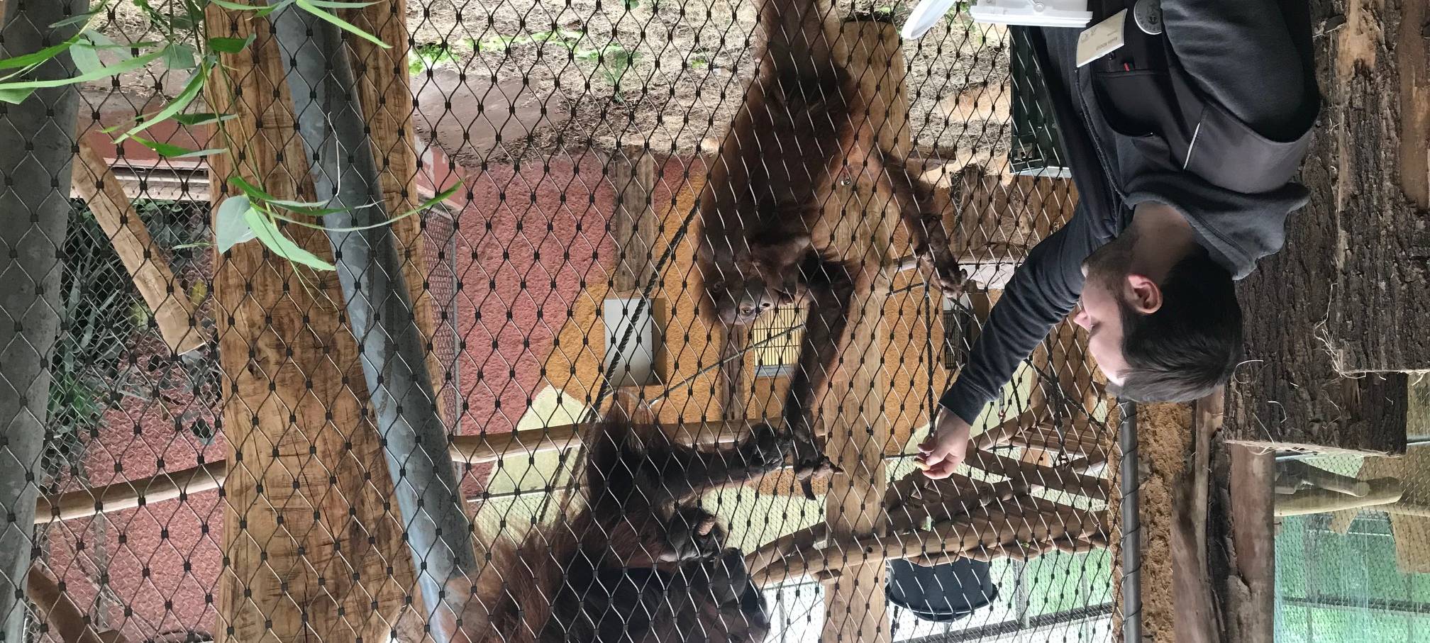 Ferienprogramm im Zoo