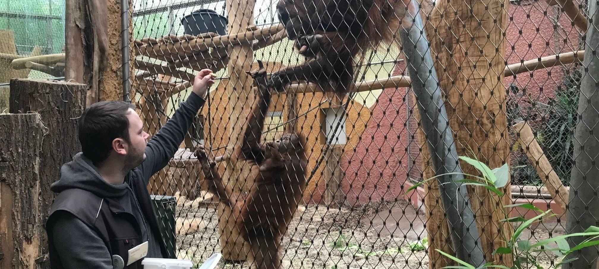 Ferienprogramm im Dortmunder Zoo.