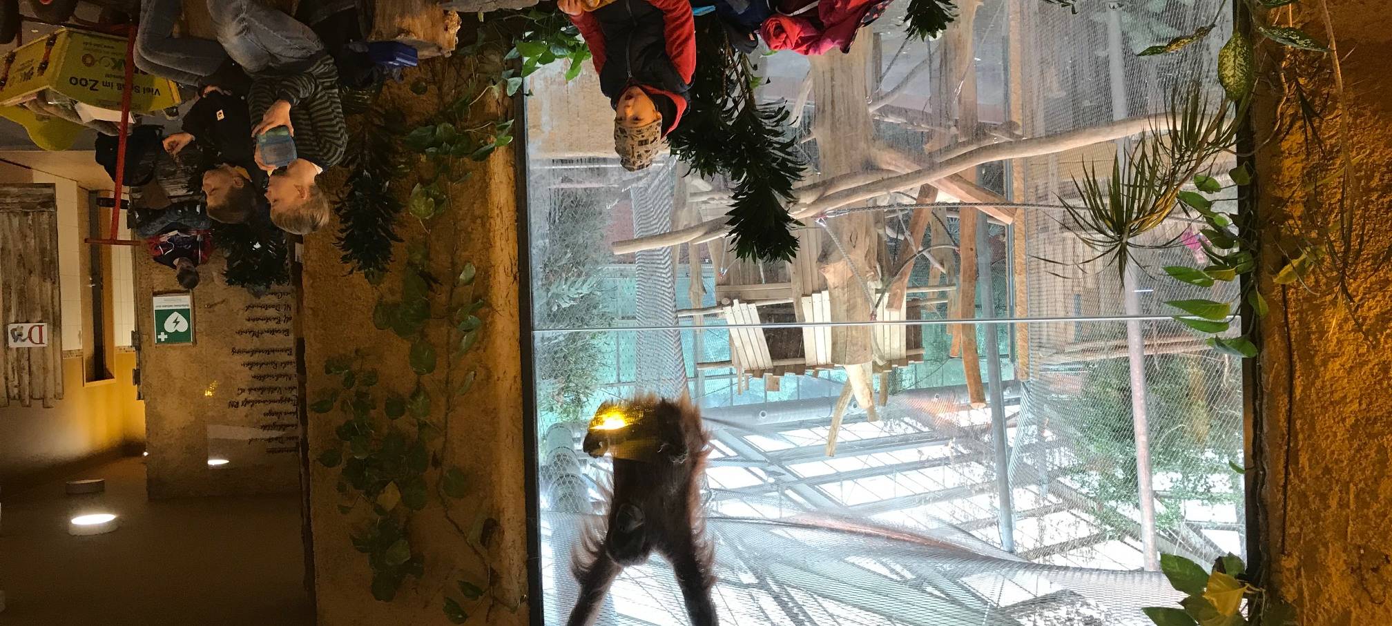 Ferienprogramm im Zoo