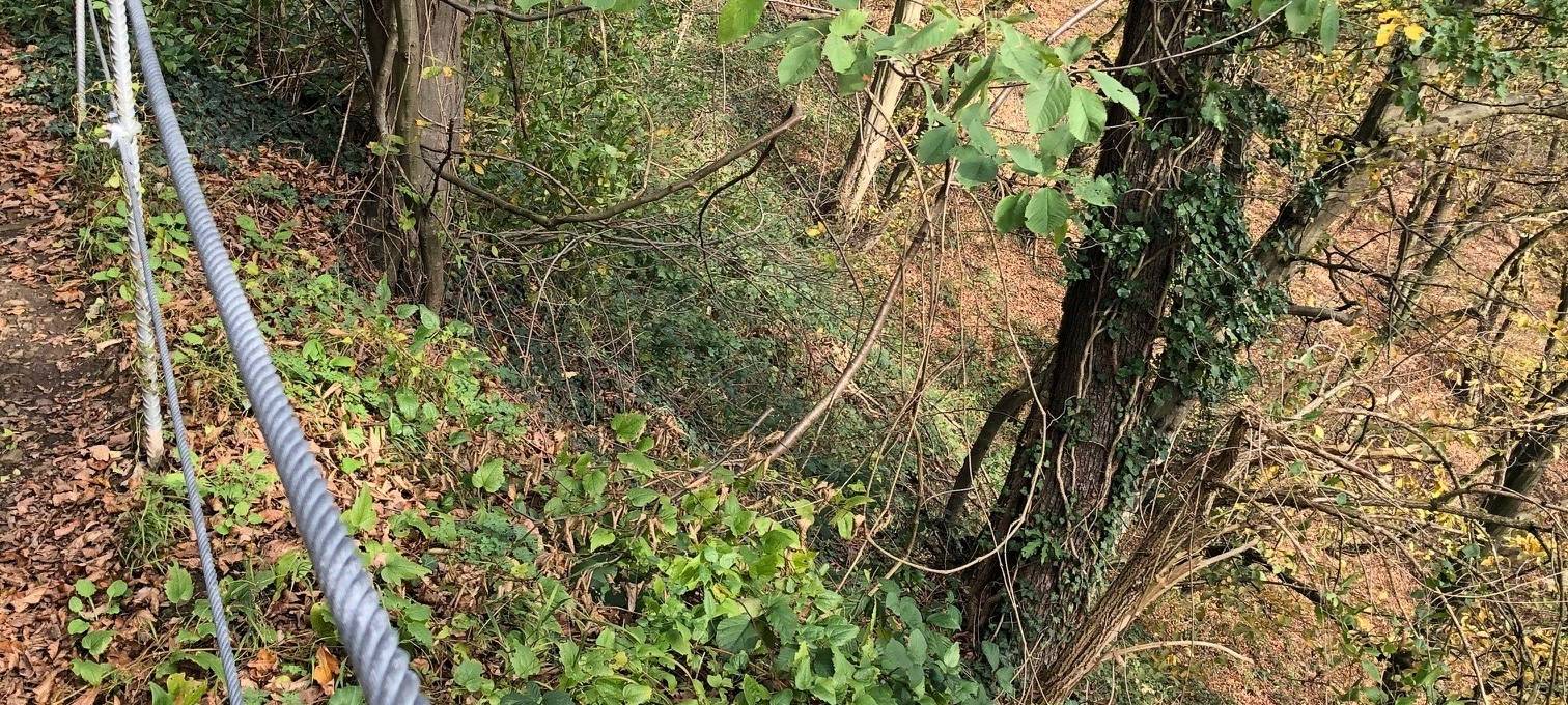 Wanderweg in Hohensyburg