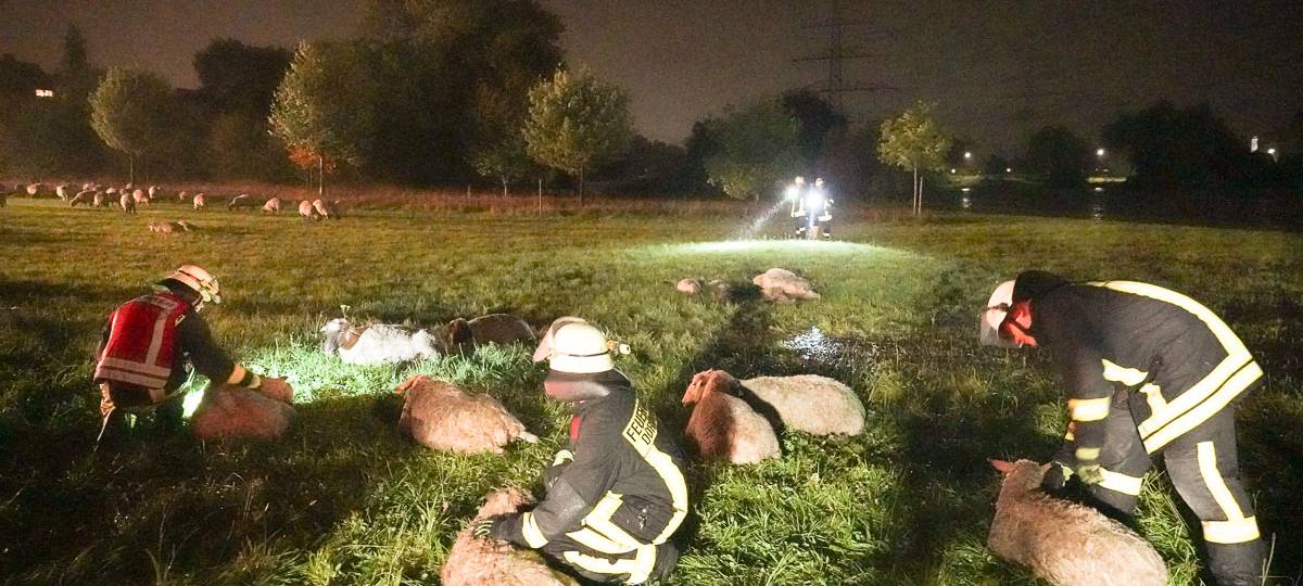 PETA ernennt Feuerwehr Dortmund zu „Helden für Tiere“