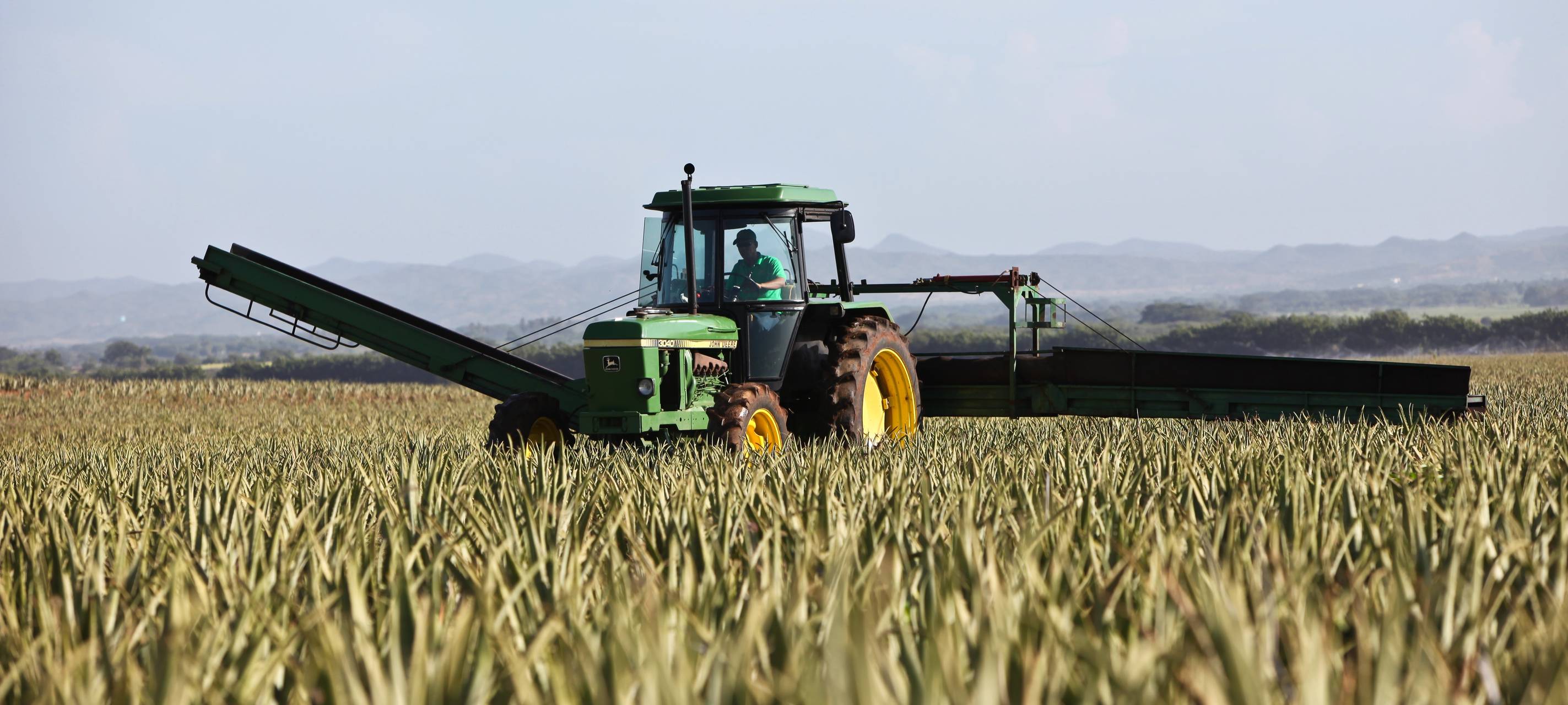 Trecker-Demo behindert Verkehr
