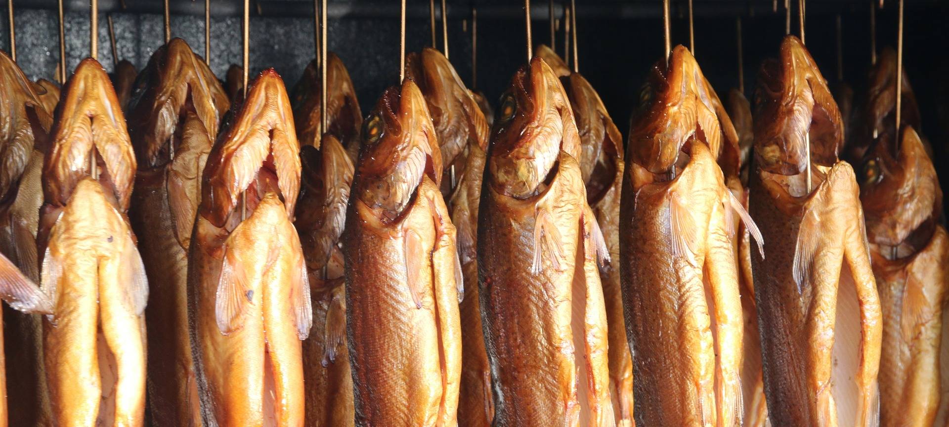 Räucherfisch auf dem Weihnachtsmarkt: Im Gespräch mit "dem Forellenmann"