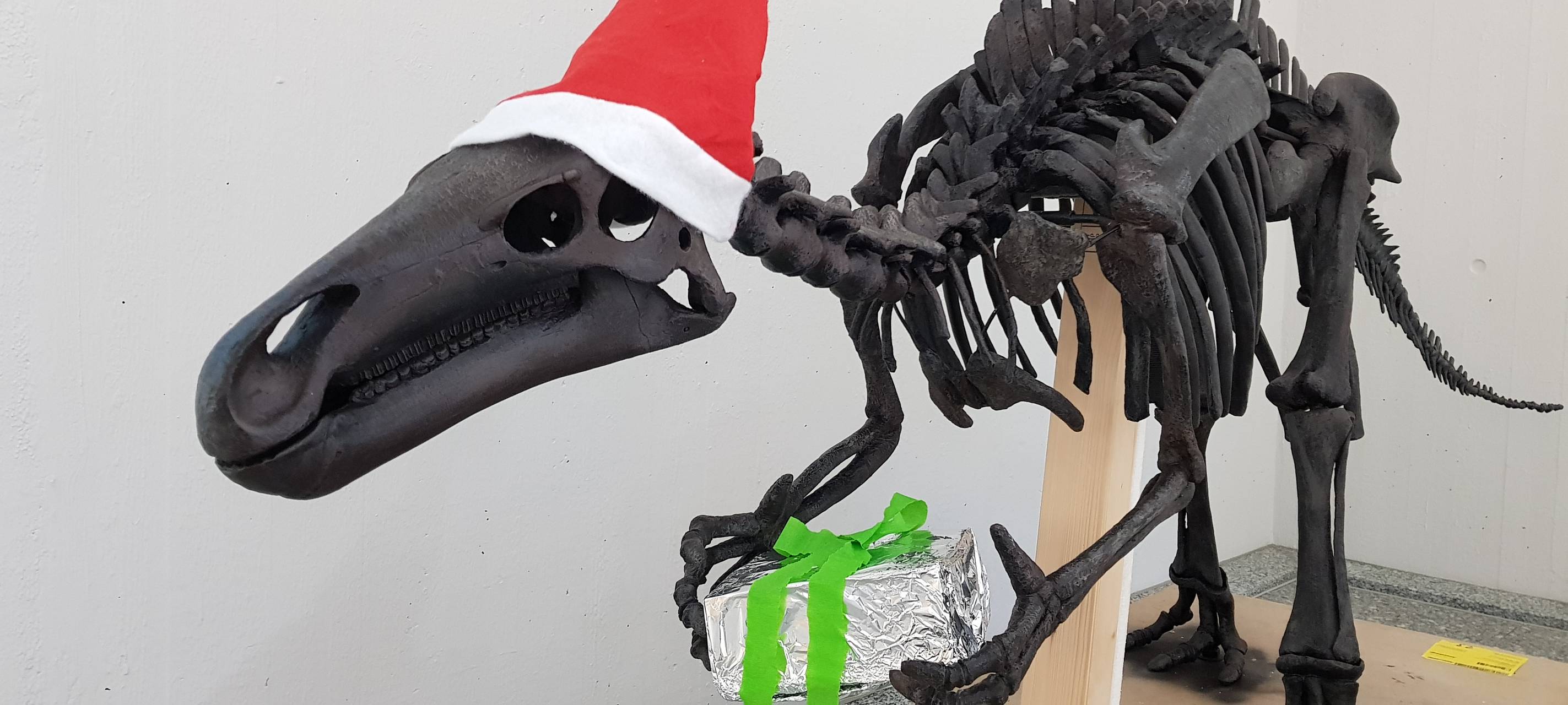 Aus Museum für Naturkunde wird Naturmuseum