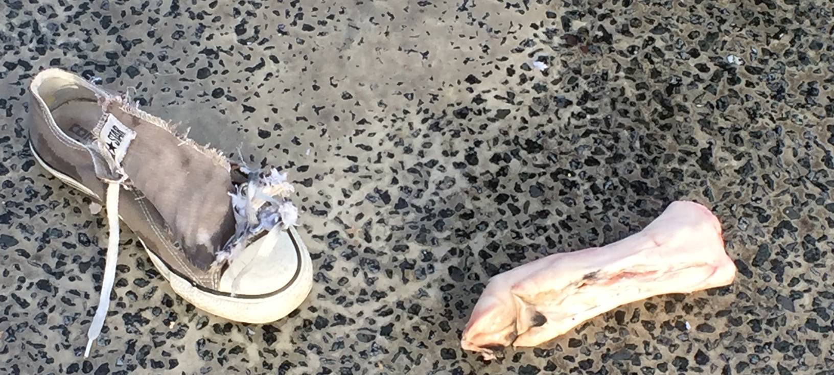 Aktionstag: Tag des brandverletzten Kindes