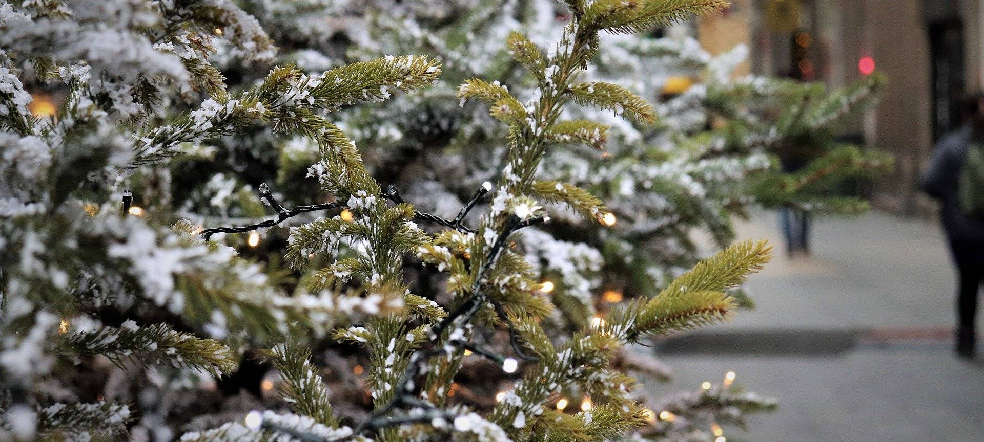 Kein Stillstand über Weihnachten