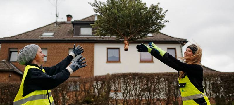 EDG holt Weihnachtsbäume am 18. Januar ab
