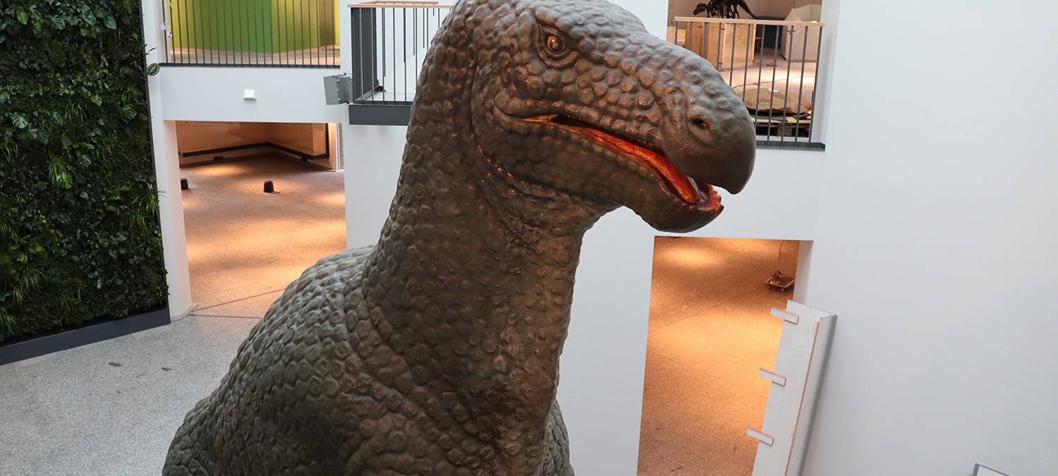 Naturmuseum öffnet im Sommer