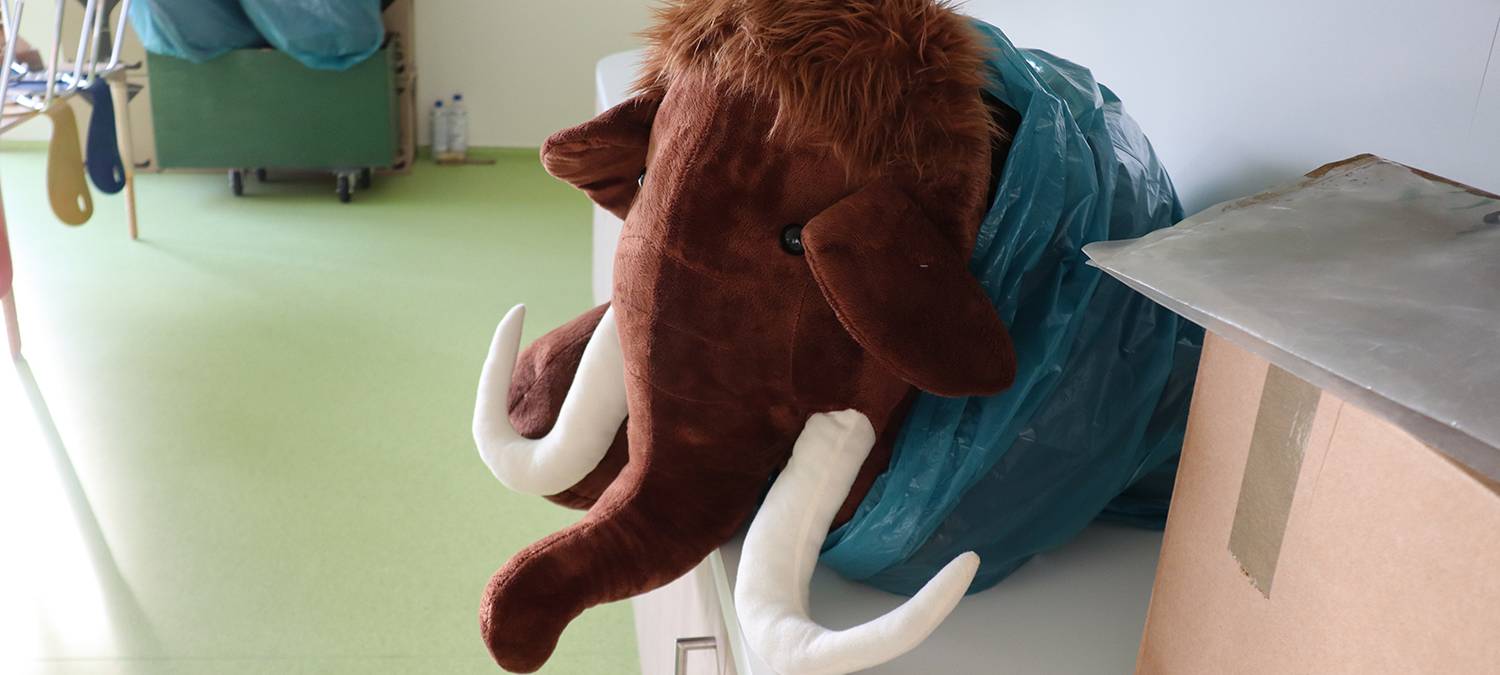 Plüschtier im Naturmuseum Dortmund