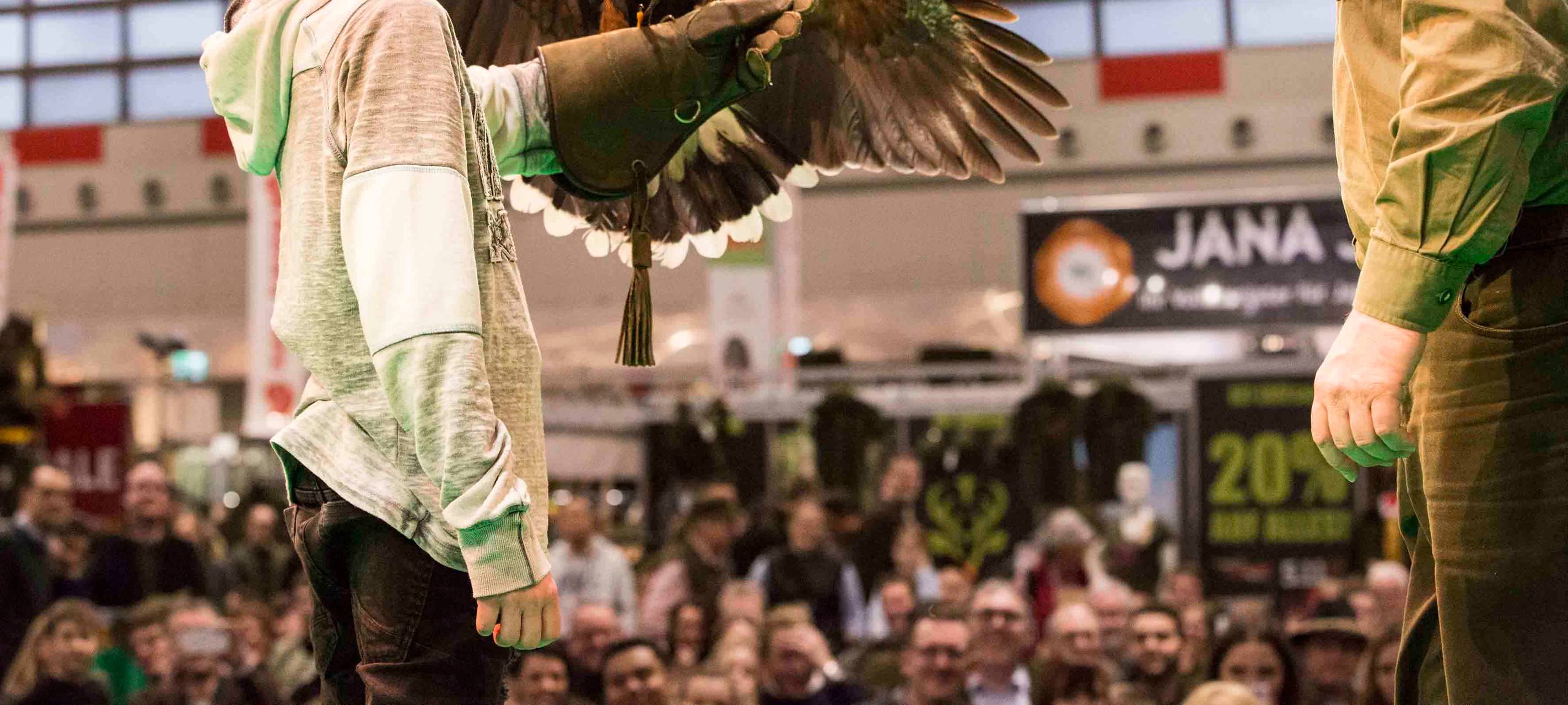Die Greifvogelvorführungen bei der Jagd und Hund Messe 2019