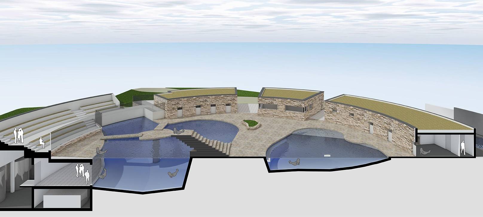 Schnittansicht der geplanten Robbenanlage