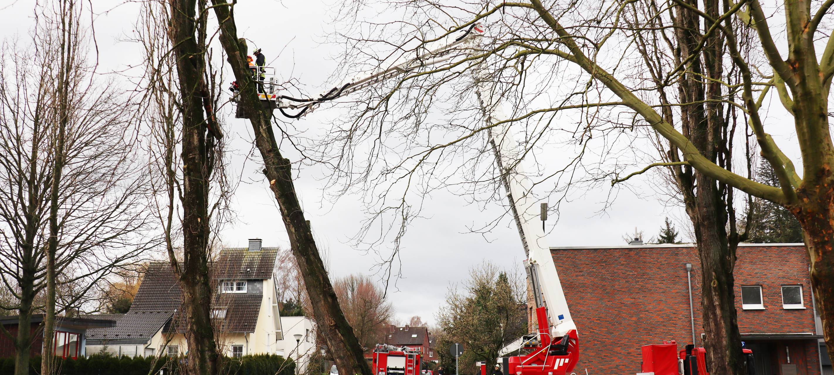 Feuerwehreinsatz nach Sturmtief "Sabine" an der Stadtrat-Cremer-Allee.