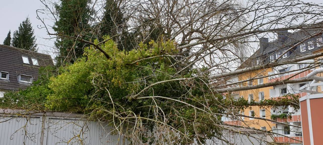 Wer zahlt bei Sturmschäden?