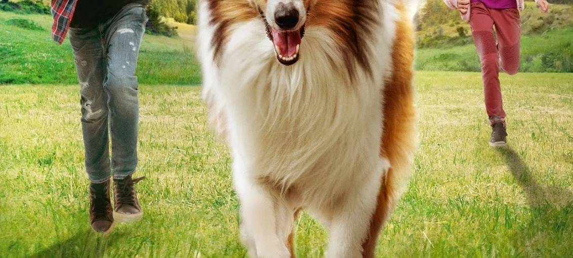 Lassie
